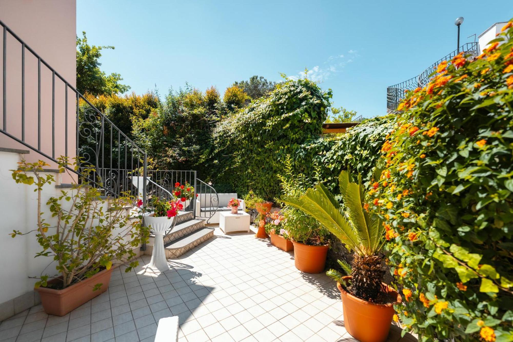 La Vispa Teresa Ischia Extérieur photo